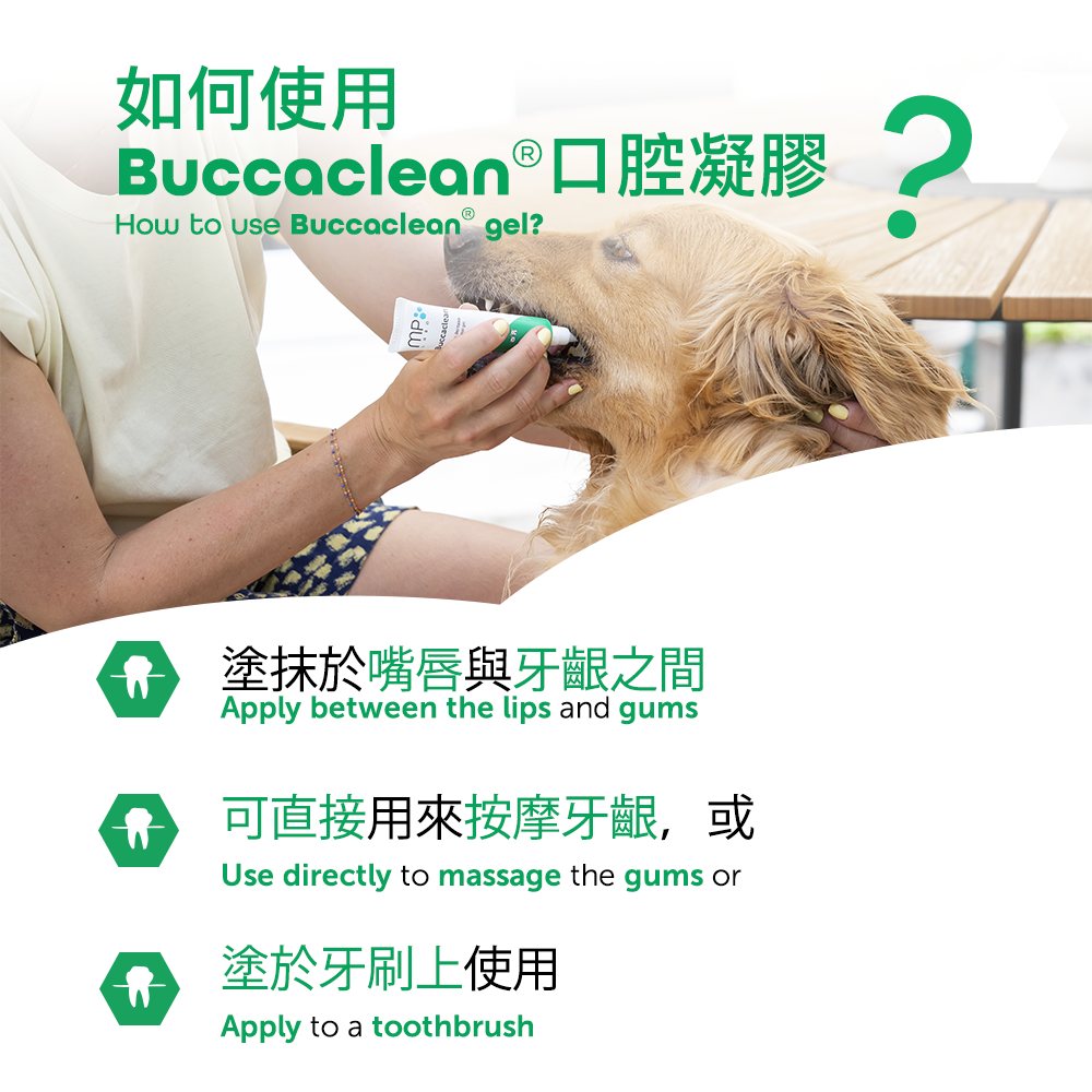 Buccaclean dental gel 30 ml with applicator tip