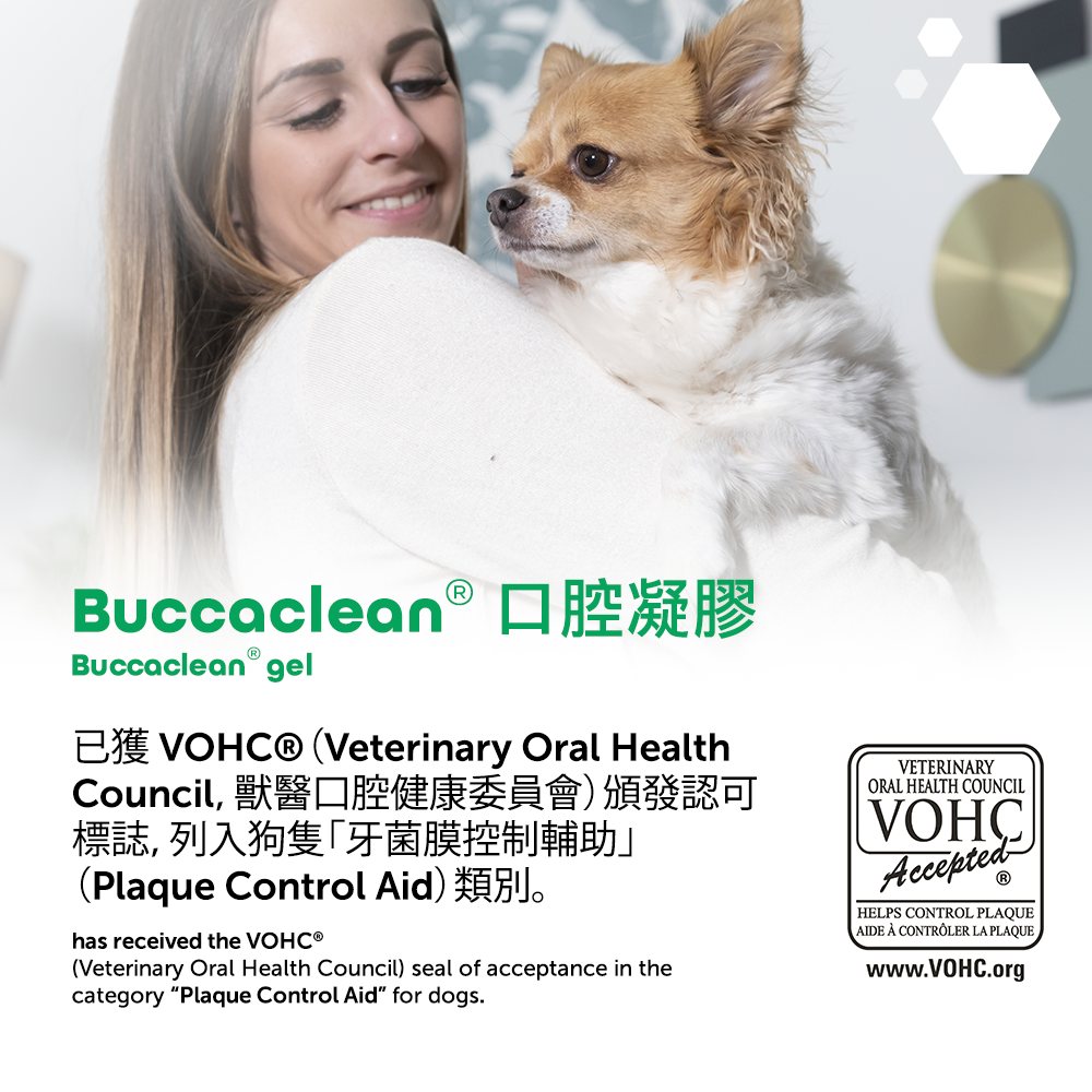 Buccaclean dental gel 30 ml with applicator tip